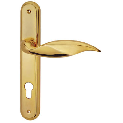 Brass Handle with Plate